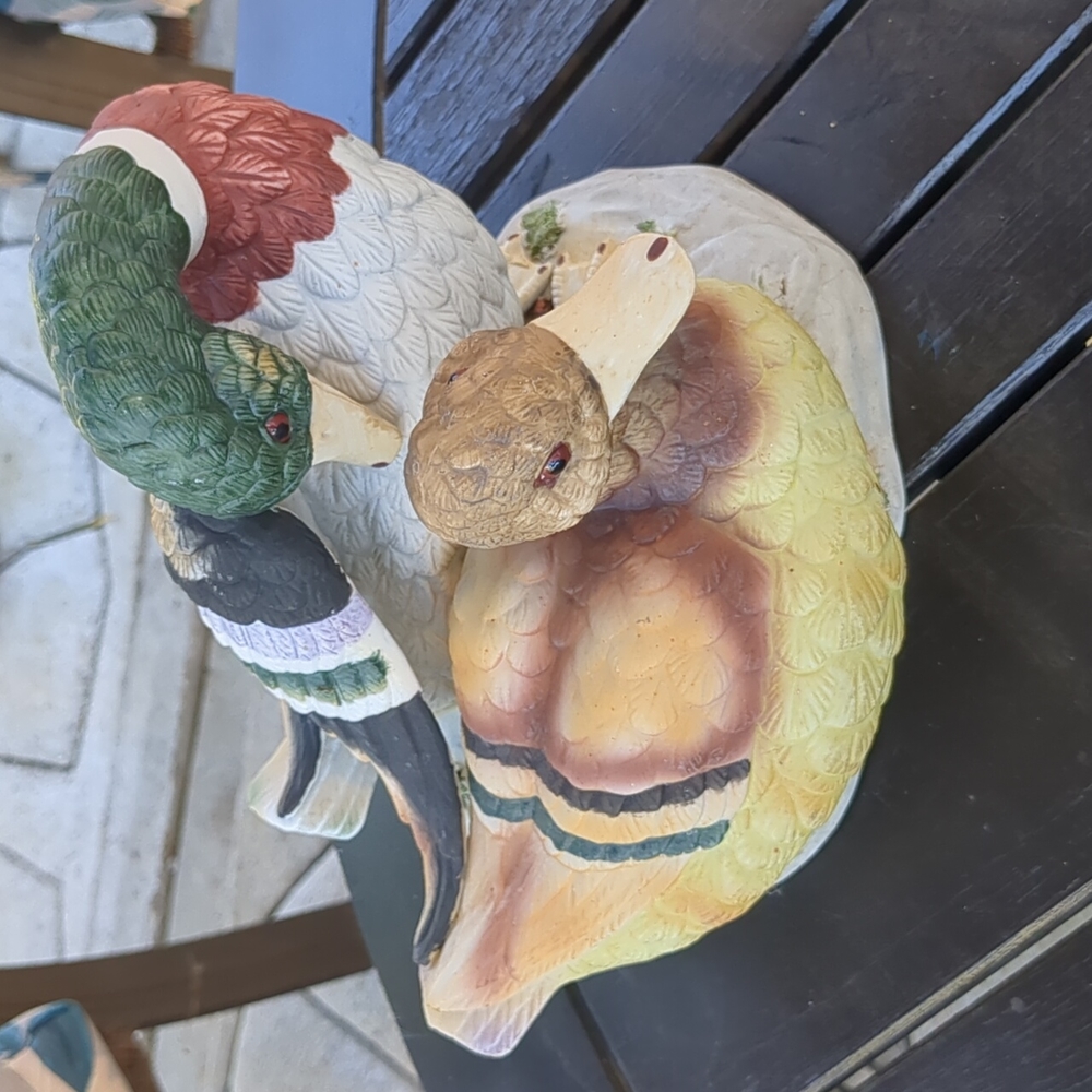 Ceramic ducks